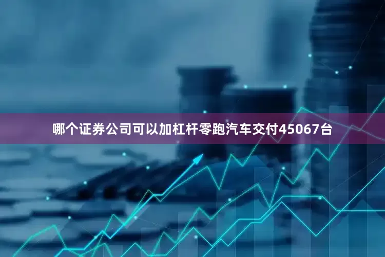 哪个证券公司可以加杠杆零跑汽车交付45067台