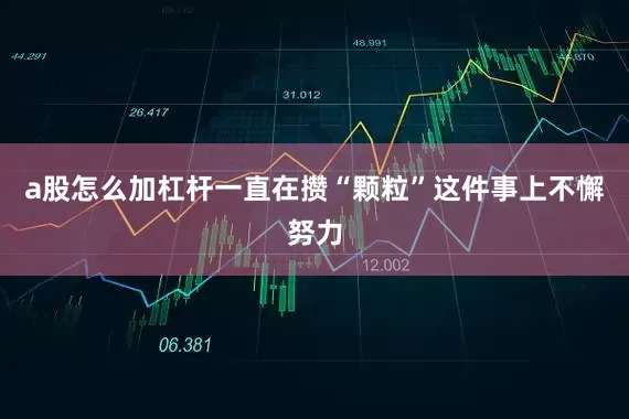 a股怎么加杠杆一直在攒“颗粒”这件事上不懈努力