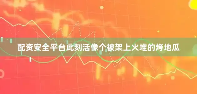 配资安全平台此刻活像个被架上火堆的烤地瓜
