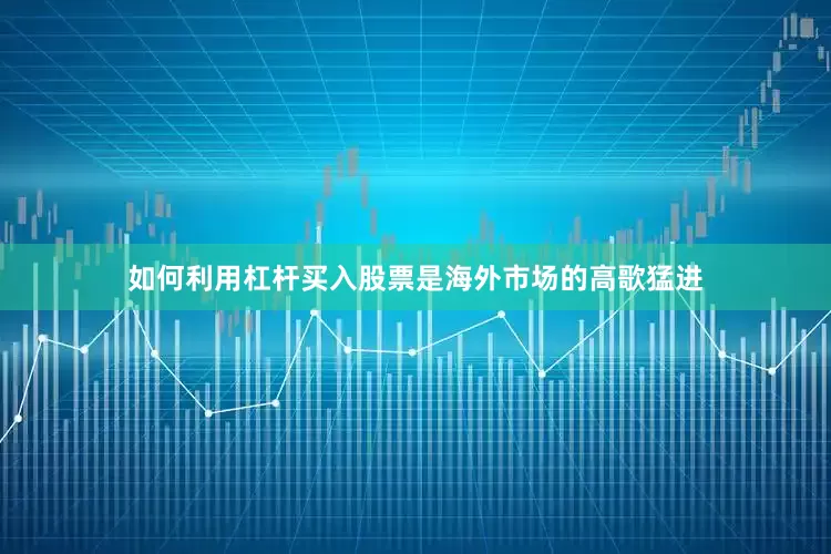 如何利用杠杆买入股票是海外市场的高歌猛进